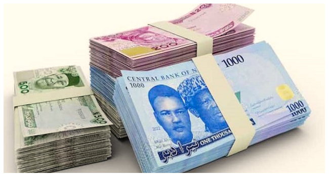 Naira Records Lowest Loss In Three Weeks
